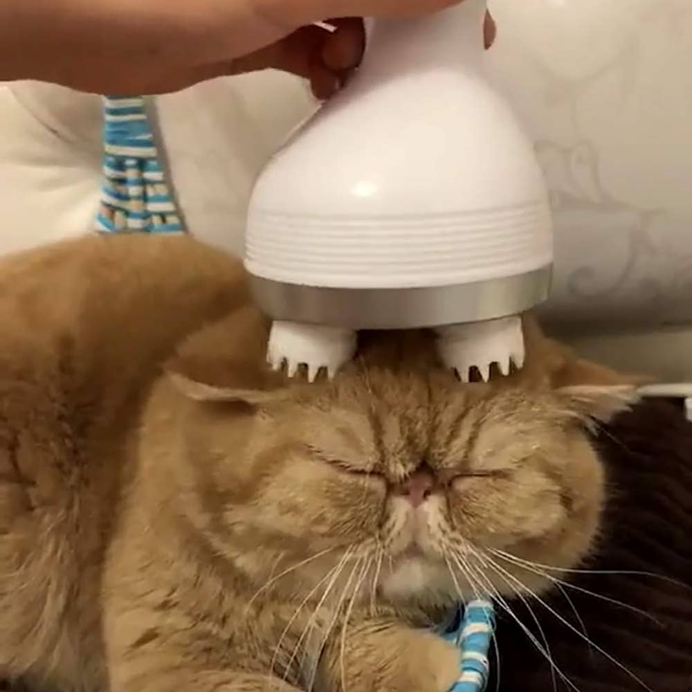 PurrSpa Cica Masszírozó