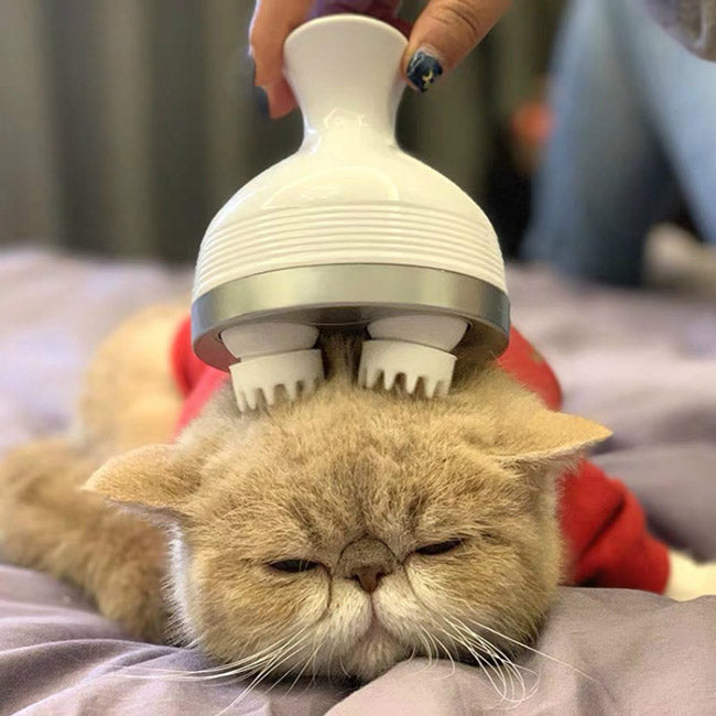 PurrSpa Cica Masszírozó